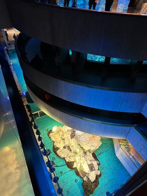 New England Aquarium   Multi Level Design